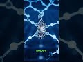 AI & synthetic biology speaking DNA