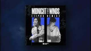 蒋雪儿Snow.J - 风夜行 (ILURO Remix)