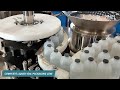 Vial Liquid Packaging Line | Vial Filling Line | Vial Line for Packaging 2 ml to 10 ml Vials
