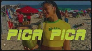 PICA PICA _ BRAZIL (DIGLO EDIT)