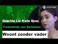 Vaak ligt de oorzaak bij de ouders zelf  querida lie kwie sjoe  de dave podcast