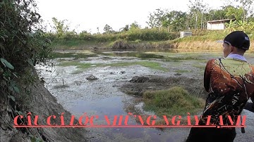 CÂU CÁ LÓC NHỮNG NGÀY LẠNH CÁ CHẬM ĂN KHÓ CÂU CHA GIÀ VLOGS