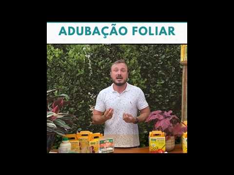 Vídeo: Pulverização de Plantas Foliares - Informações e Dicas para Usar Sprays Foliares