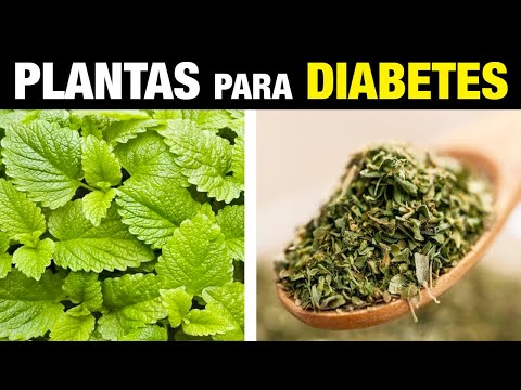 Vídeo: Como controlar o diabetes (com fotos)