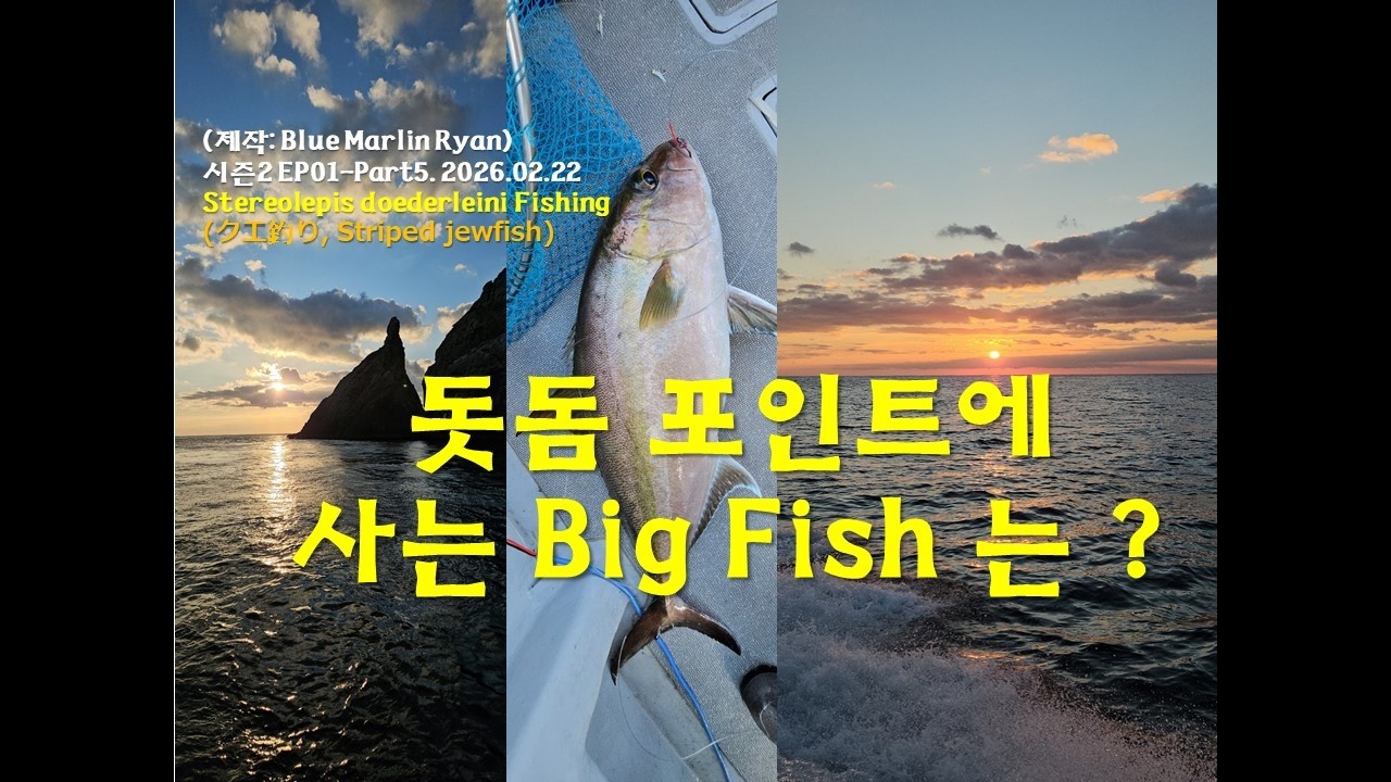 돗돔 포인트에 사는 Big Fish는?(What Big Fish Live in the Active Volcano Zone?)#釣り #fish#fishing#낚시#魚#pesca