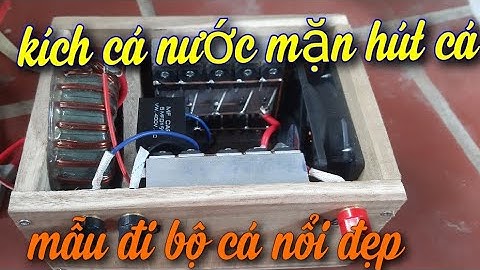 kích cá nước mặn | tes 2 máy đi buổi sáng .mẫu đời mới máy mạnh và an toàn