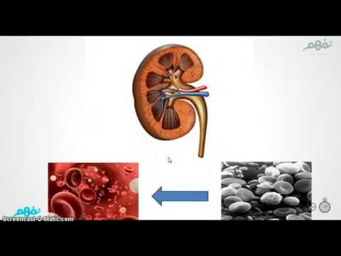 نفهم في دقيقة مالا تعرفه عن الكلية نفهم