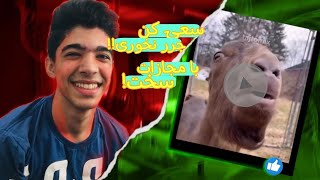 سعی کن نخندی با مجازات سخت?| Try not to laugh