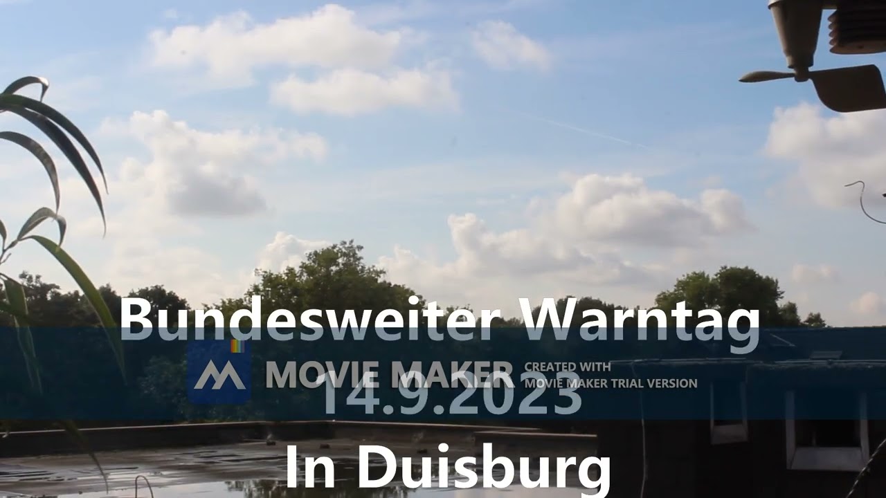 Zutrauliche Flussbarsche im Oberhausener Baggersee 14.9.2023