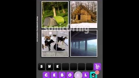 Pic The Word Level 81 - 90 Answers