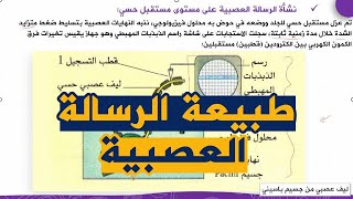 الدرس 20 طبيعة الرسالة العصبية علوم طبيعية للسنة الرابعة متوسط الجيل الثاني