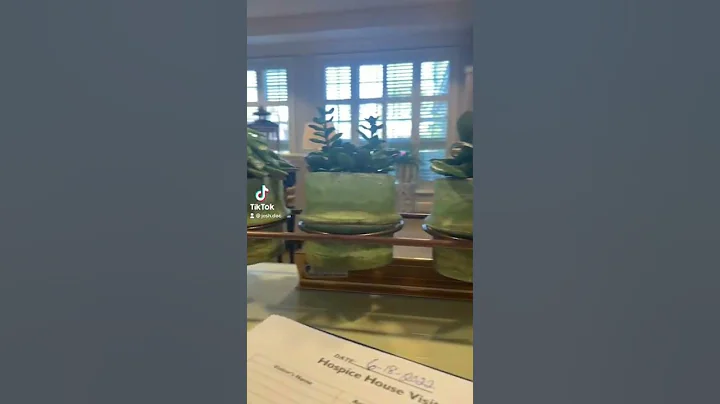 Succulents is a weird word