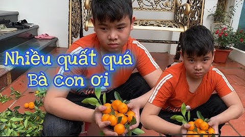 HƯỚNG DẪN CHĂM SÓC CÂY QUẤT ( TẮC) SAU TẾT ĐỂ NĂM SAU RA ĐƯỢC QUẢ CHƠI TẾT TIẾP 2021