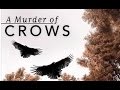 Воронья стая 2010 - A Murder of Crows