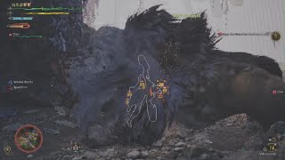 Monster Hunter Wild Derps