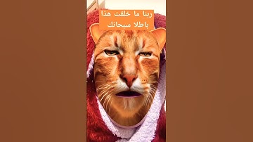 ربنا ما خلقت هذا باطلا #قرآن #تلاوه #الحنجرة_الذهبية #القرآن_الكريم #عبدالباسط_عبدالصمد #آية #تعلم