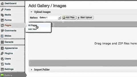 How to Use NextGen Gallery Plugin in Wordpress