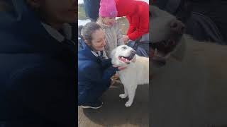Луна нашла семью! #домхвостиковшанс #шансожители