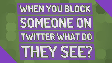 When you block someone on twitter what do they see?