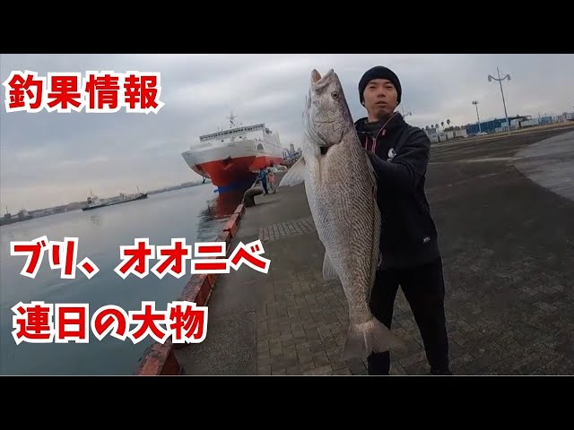 Fishing information: Yellowtail, Giant Croaker, Hairtail