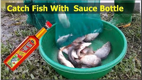 Dùng Chai Nước Mắm Để bắt cá || Catch Fishes by Sauce Bottle and Net || Ong & Chau