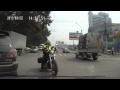Download Олень на встречке Олень на встречке