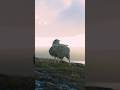 The Lost Sheep
