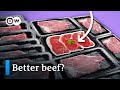Sustainability of Beef Production