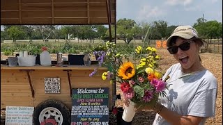 U-Pick Flower Farm Tour at Green Valley Gardens - A flower farm where you can pick the flowers!