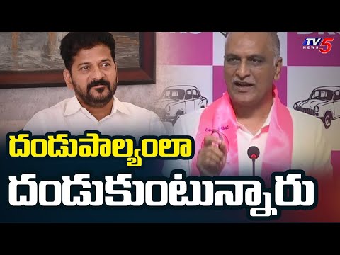 BRS Harish Rao Sensational Comments On Telangana Ministers | Power Project || TV5 News - TV5NEWS