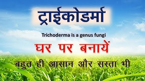 How to make  Trichoderma fungi at home | ट्राइकोडर्मा घर पर बनाना बहुत आसान