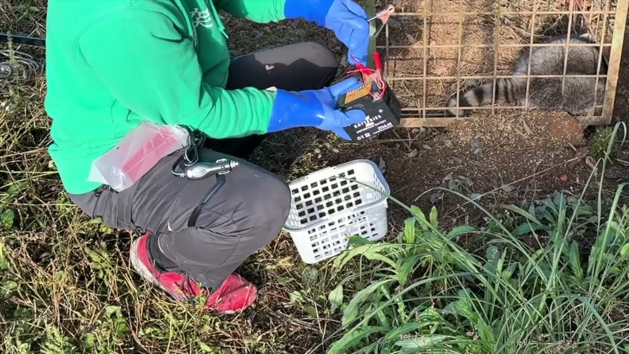 電気止め刺し機 - 害獣駆除とくくり罠の太田製作所 - 全国のハンター