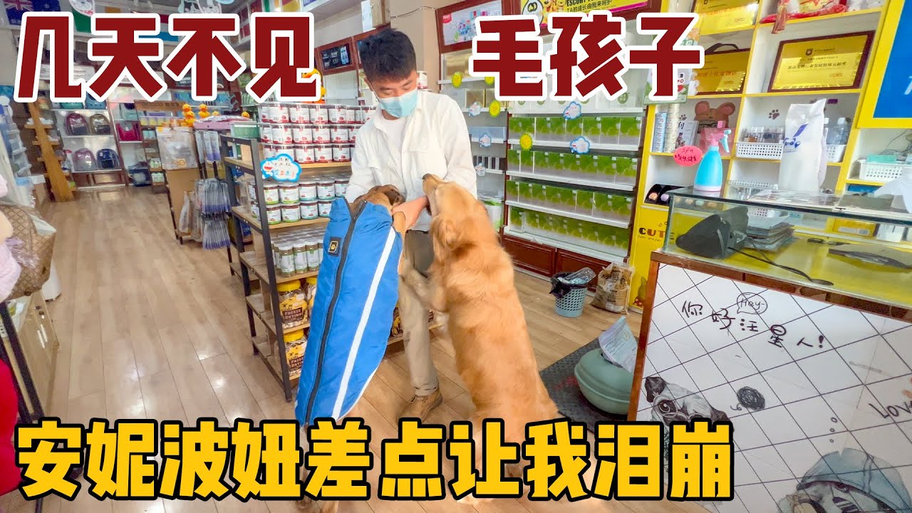 从海南返回大凉山，成功接到安妮波妞，这一幕差点让我泪崩！【小白的奇幻旅行】