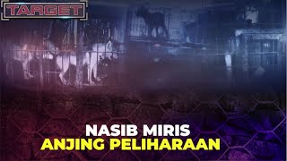 [FULL] Nasib Tragis Hewan Piaraan Masih Terjadi | TARGET