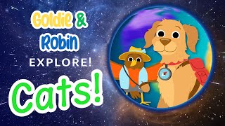 Goldie & Robin Explore - Cats!