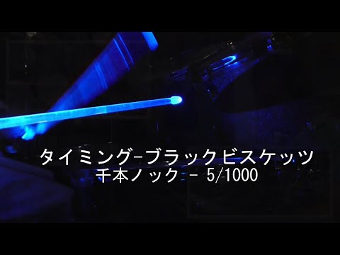 Timing - Black Biscuits