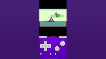 Day 31 of doing 10 resets a day until I get the shiny mudkip