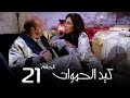 مسلسل كيد الحموات الحلقة | 21 | Ked El Hmwat Series Eps