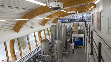 Brewing Science course overview