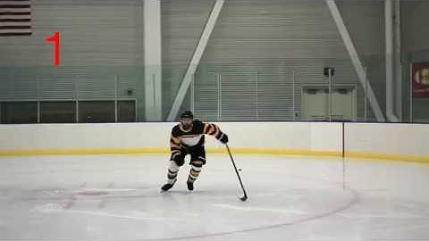 Kinesiology Application Assignment #2