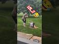Wait For The End..!! 😂🤣 #funny #comedy #memes #waitforend #trending #shorts #motivation #foryou