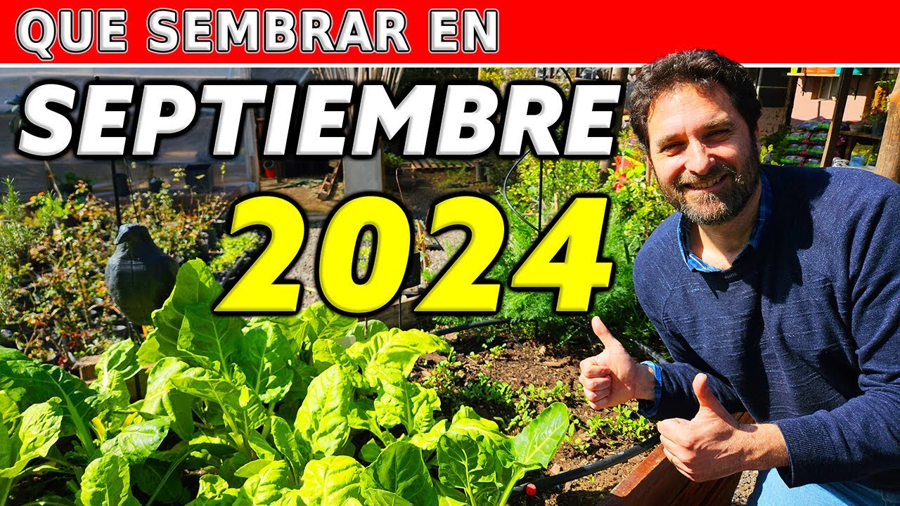 Calendario agricola septiembre 2024 6