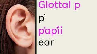 alphabet letters words 2 0 AUDIO