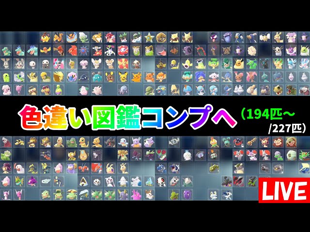 ポケモン クルッパ 確認用 ルンパッパ【AR】{081/080} - カードラッシュ[ポケモン]