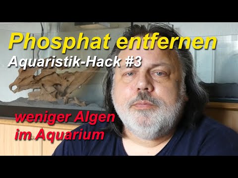 Phosphat leicht entfernen mit Stahlwolle. Weniger Algen im Aquarium. Aquaristik-Hack #3