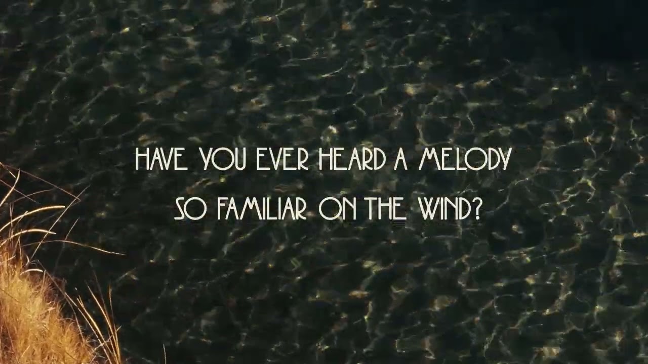 ‘The Whole Thing’ | Ellie Holcomb | Official Lyric Video