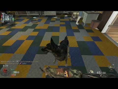 【COD:BO】ワンワンオが邪魔をする