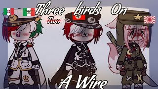 Three Birds On A Wire || Countryhumans|| Axis powers