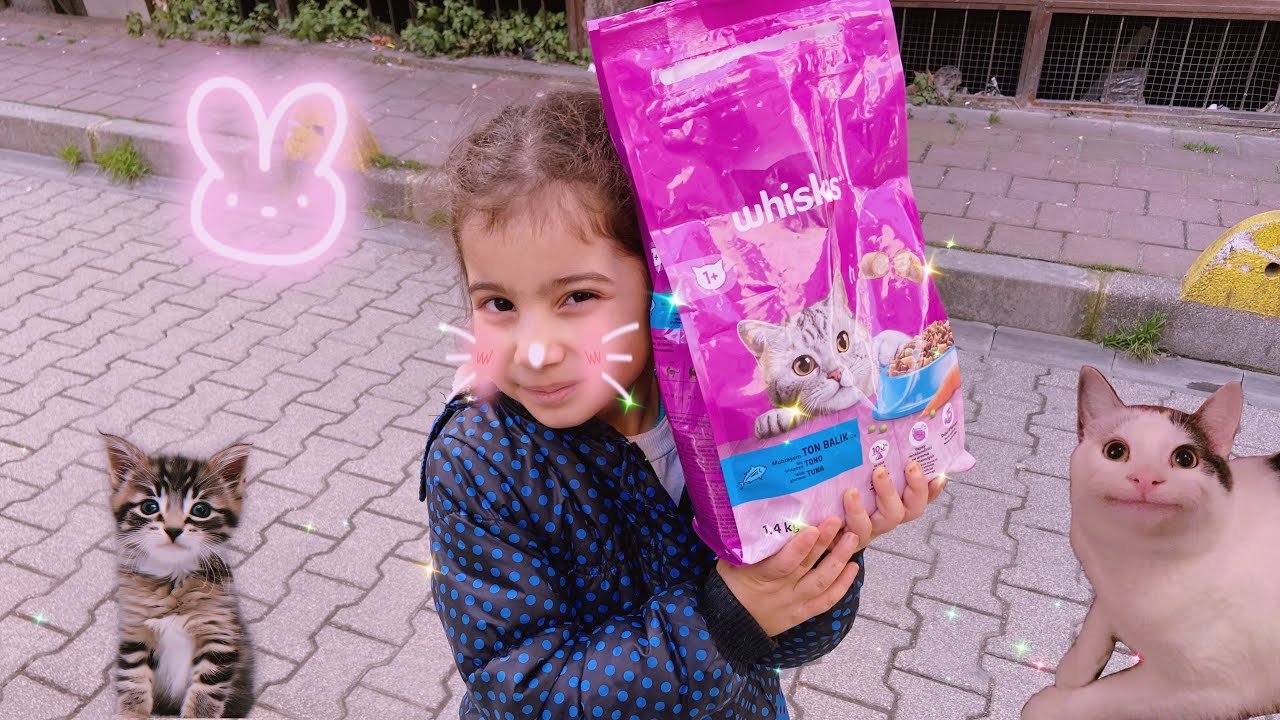 KEDİLERE MAMA VERDİK ⁉️ 