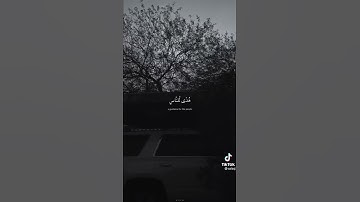 (شهر رمضان) | سورة البقرة | حالات واتس اب دينية | عبدالرحمن مسعد 💕